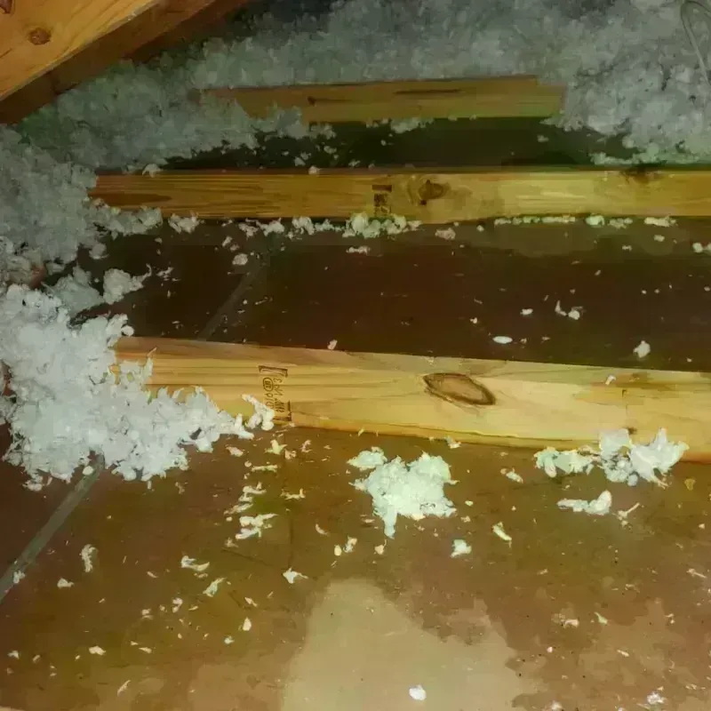 Best Attic Water Damage Service in University Heights, IA